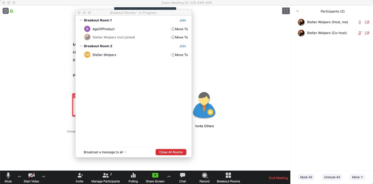 Remote Agile (Part 3): Mastering Zoom — Berlin Product People GmbH