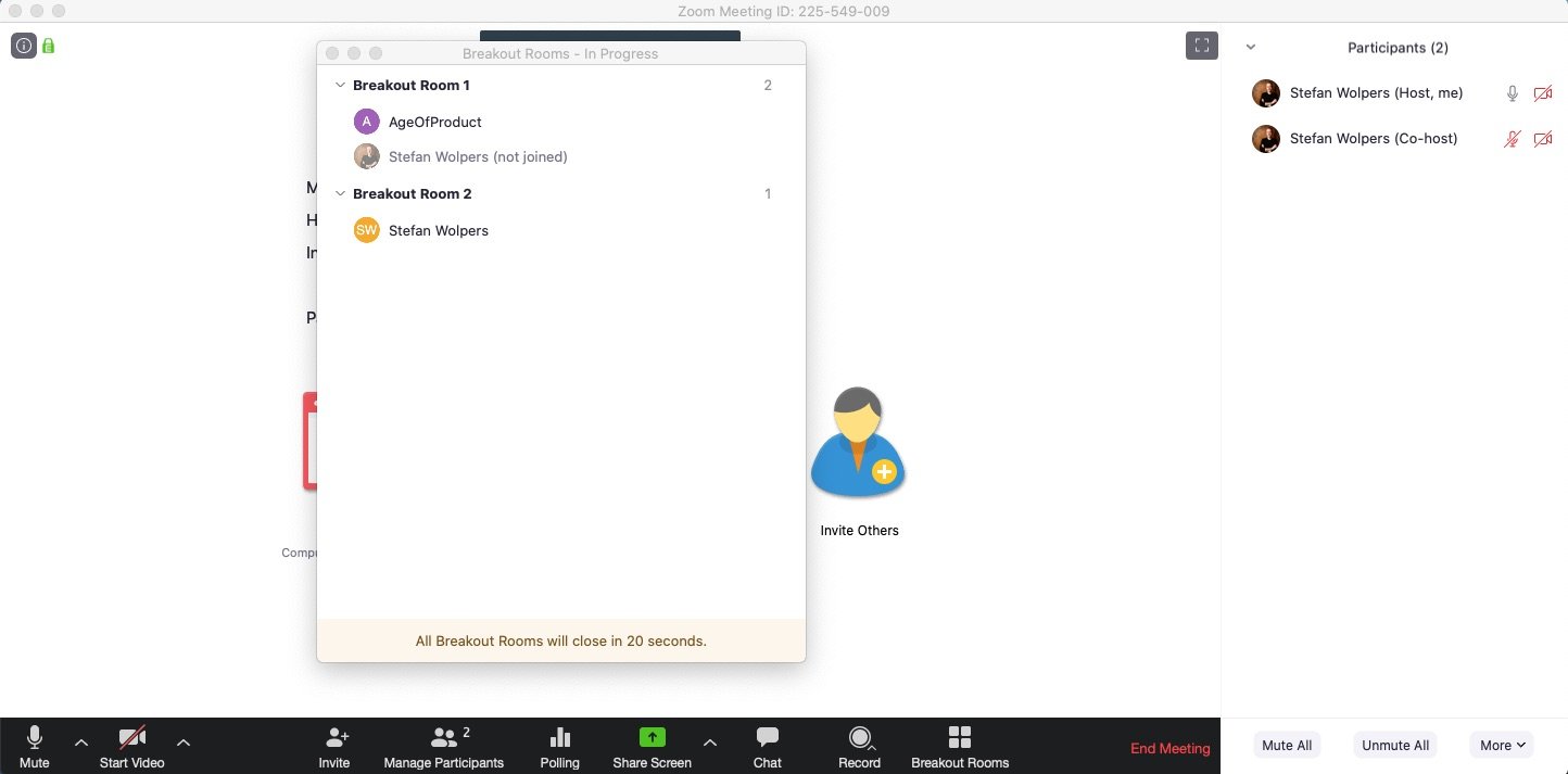 Remote Agile (Part 3): Mastering Zoom — Berlin Product People GmbH